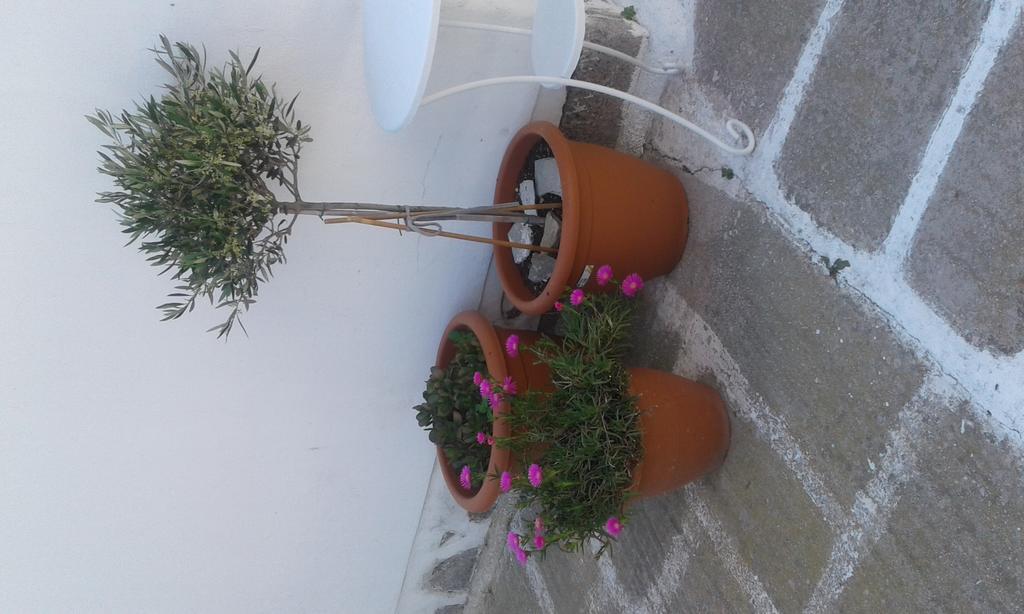 Angela'S Rooms Mykonos Town المظهر الخارجي الصورة